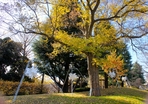 a0248459_7512062.jpg