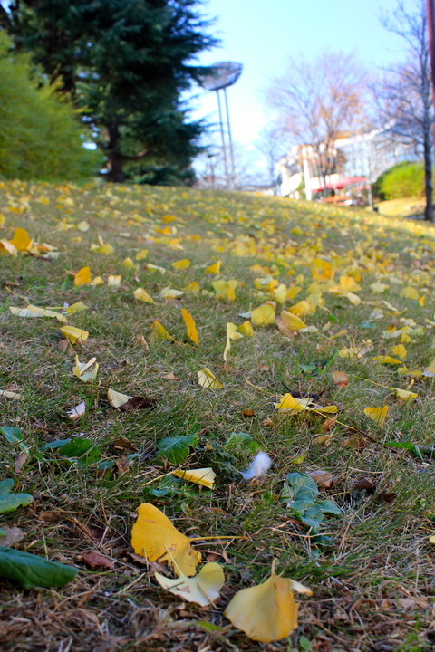 a0248459_7534224.jpg