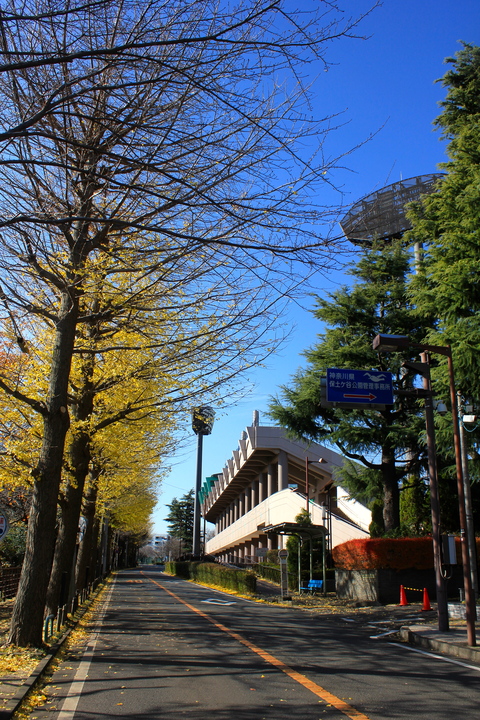 a0248459_756455.jpg
