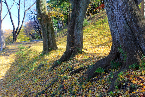 a0248459_803962.jpg
