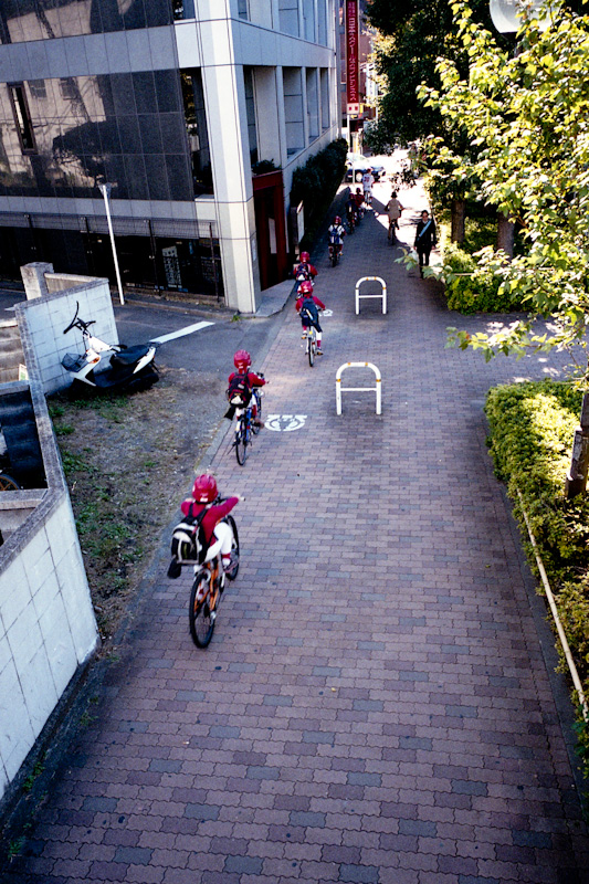 c0084666_2331053.jpg
