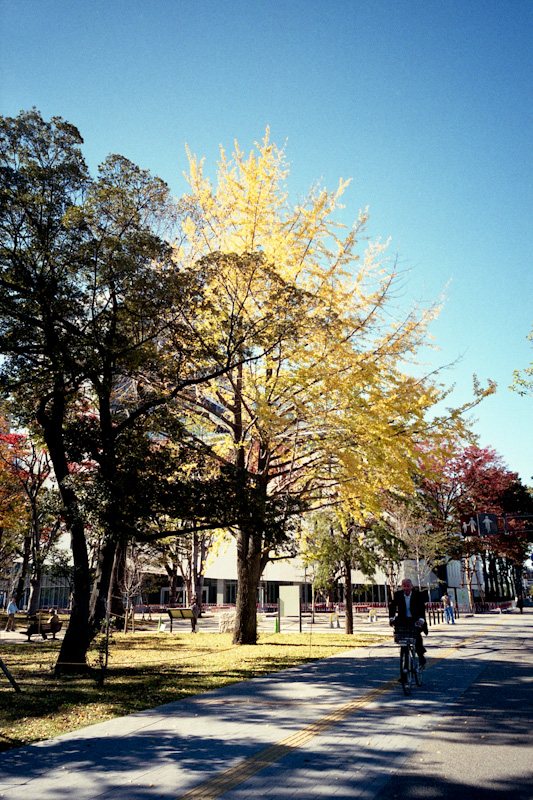 c0084666_2341993.jpg