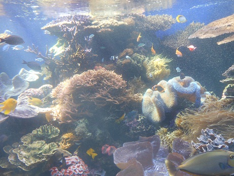 a0185667_23112161.jpg