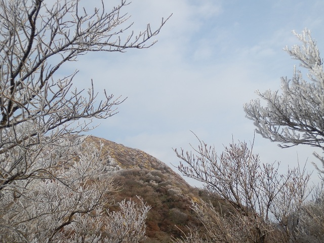c0042869_71165.jpg