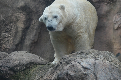 e0213169_21402972.jpg