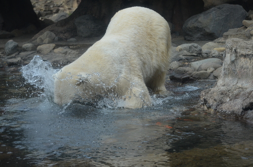 e0213169_2145413.jpg