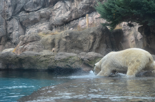 e0213169_21492743.jpg