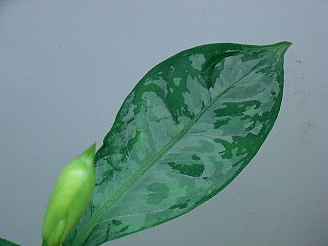 d0249970_18293530.jpg