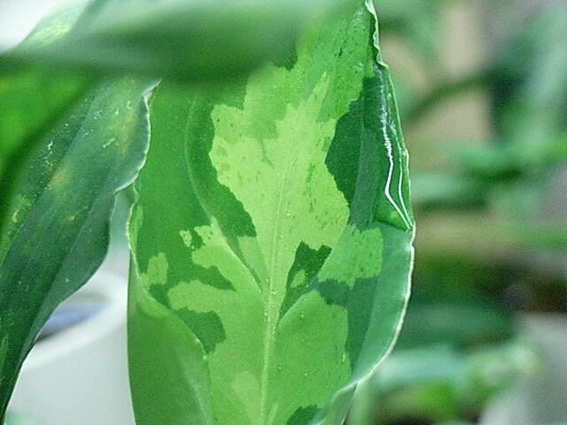 d0249970_18293740.jpg