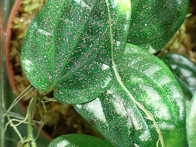 d0249970_1829433.jpg