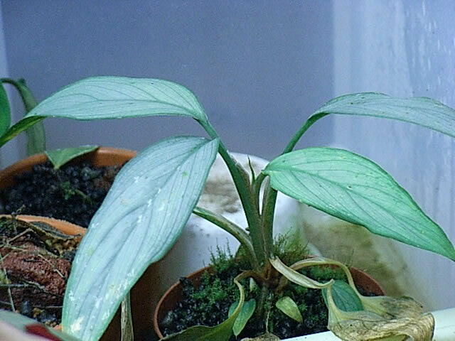 d0249970_18294646.jpg