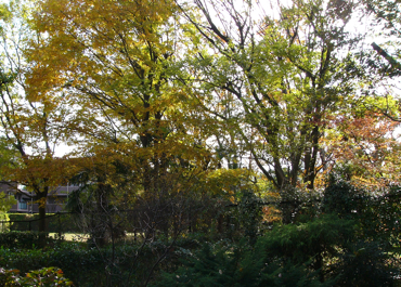 c0040472_23433357.jpg