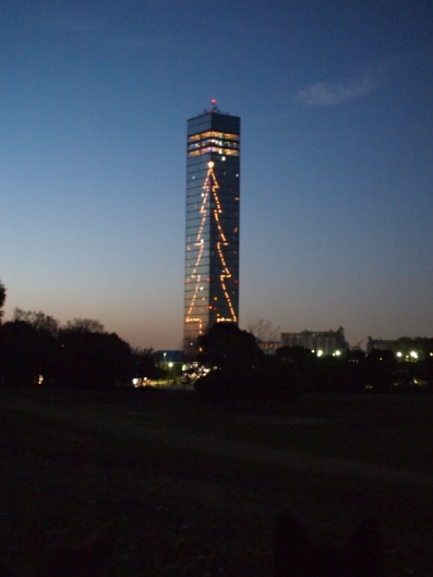 b0239176_17335093.jpg
