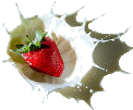 f0145976_063085.gif