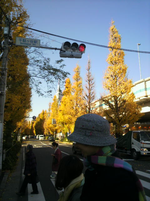 『イチョウ祭り』_a0075684_23215998.jpg