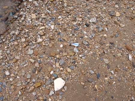 c0004987_0331095.jpg