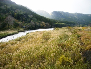 e0280693_15275545.jpg