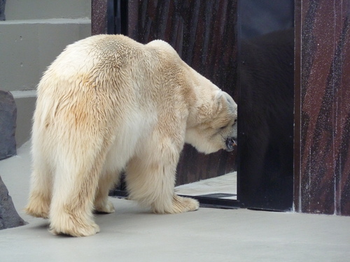 d0190294_14152890.jpg