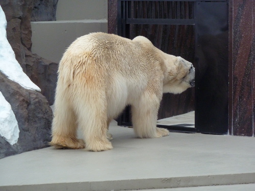 d0190294_1492435.jpg