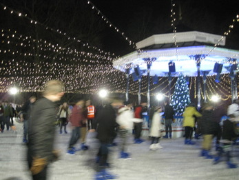 Winter WonderLand 1_f0061394_121689.jpg
