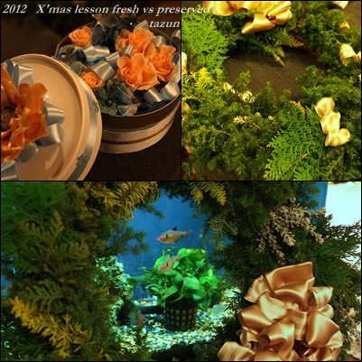 d0144095_22275185.jpg