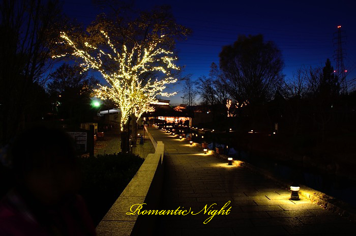 Romantic Candle Night_a0258099_12461584.jpg