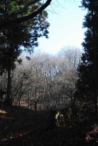 c0124100_2304065.jpg