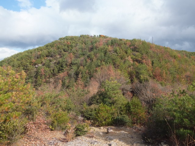 a0271502_1350448.jpg