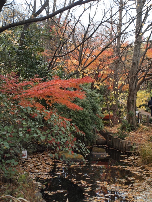 c0187503_20132532.jpg