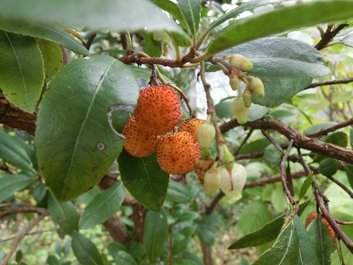 c0156104_22174241.jpg