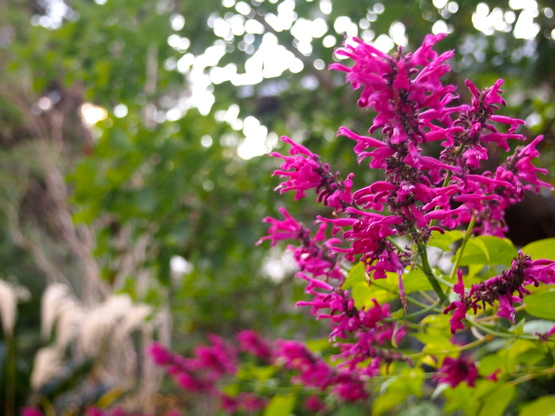 a0230008_22323323.jpg
