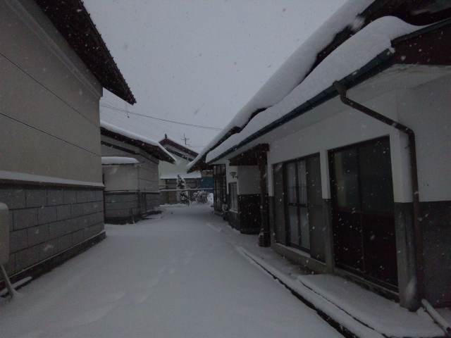根雪_d0099708_2011211.jpg
