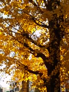 b0028109_2572112.jpg