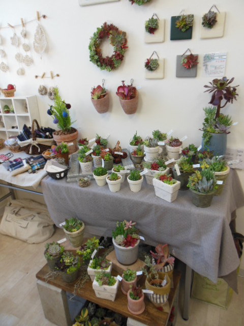 f0208812_2051243.jpg