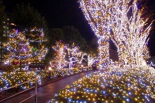 クリスマスイベントへのお誘い②_c0200917_1327654.jpg
