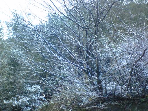 c0097620_1855408.jpg