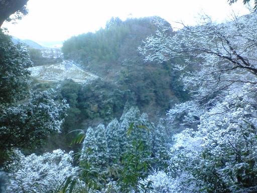 c0097620_18555842.jpg