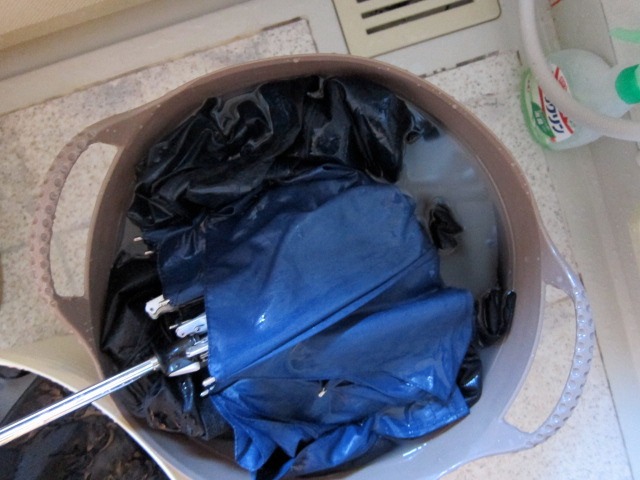 c0225420_2059109.jpg