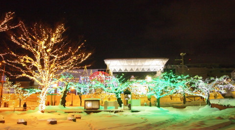 b0147224_2213197.jpg