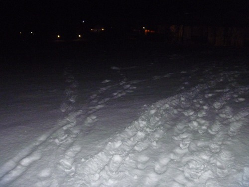 12月8日 道路・フィールド状況_b0174425_0131931.jpg