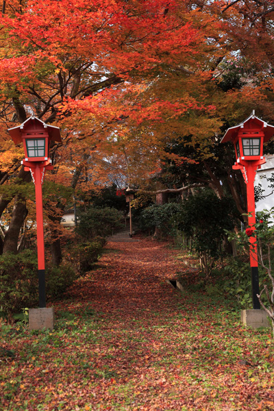 晩秋の京都・・・十輪寺_e0025930_21385957.jpg