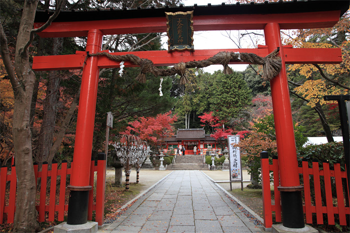 晩秋の京都・・・大原野神社（終わり）_e0025930_21571123.jpg