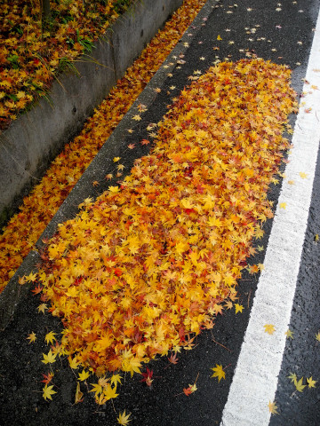 c0077431_17192249.jpg