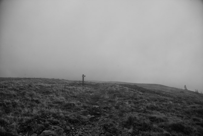 c0216331_17333770.jpg