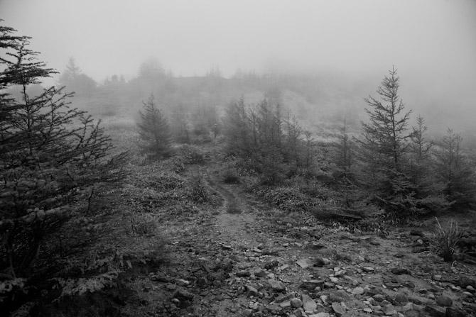 c0216331_1735385.jpg