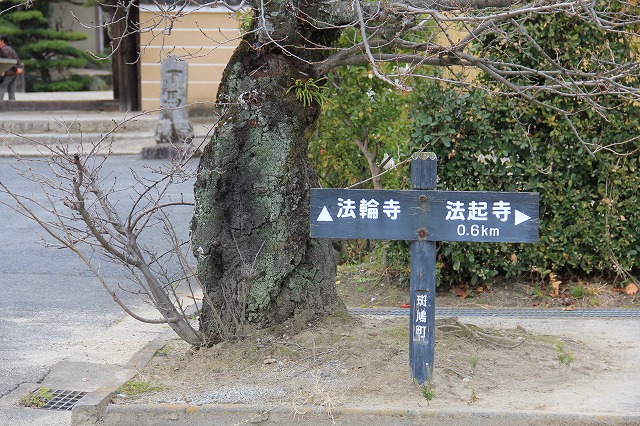 a0045932_12485647.jpg