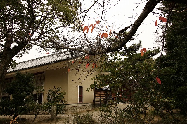 a0045932_12511131.jpg