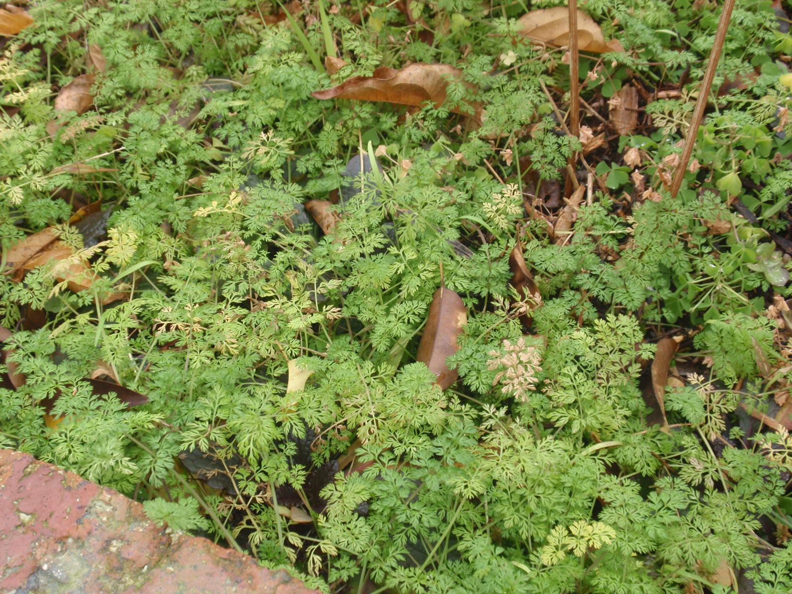 c0248940_14393027.jpg
