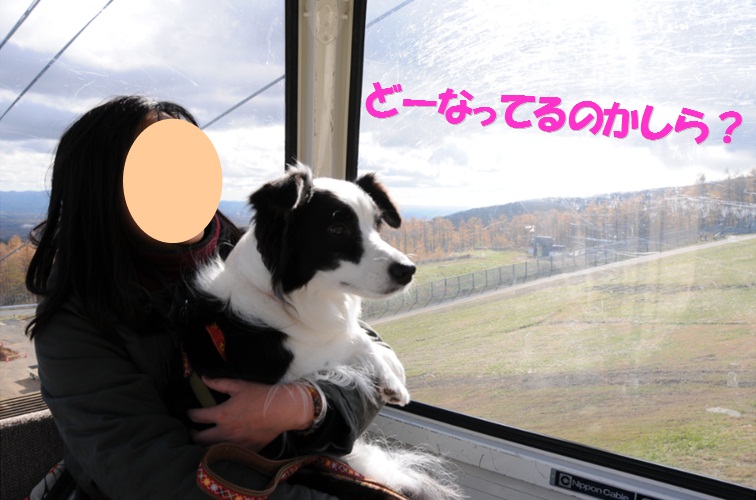c0147241_2132990.jpg