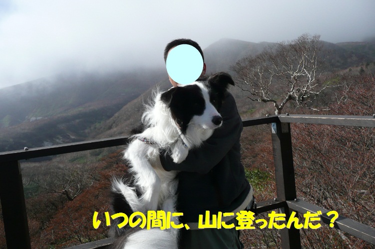 c0147241_2134924.jpg